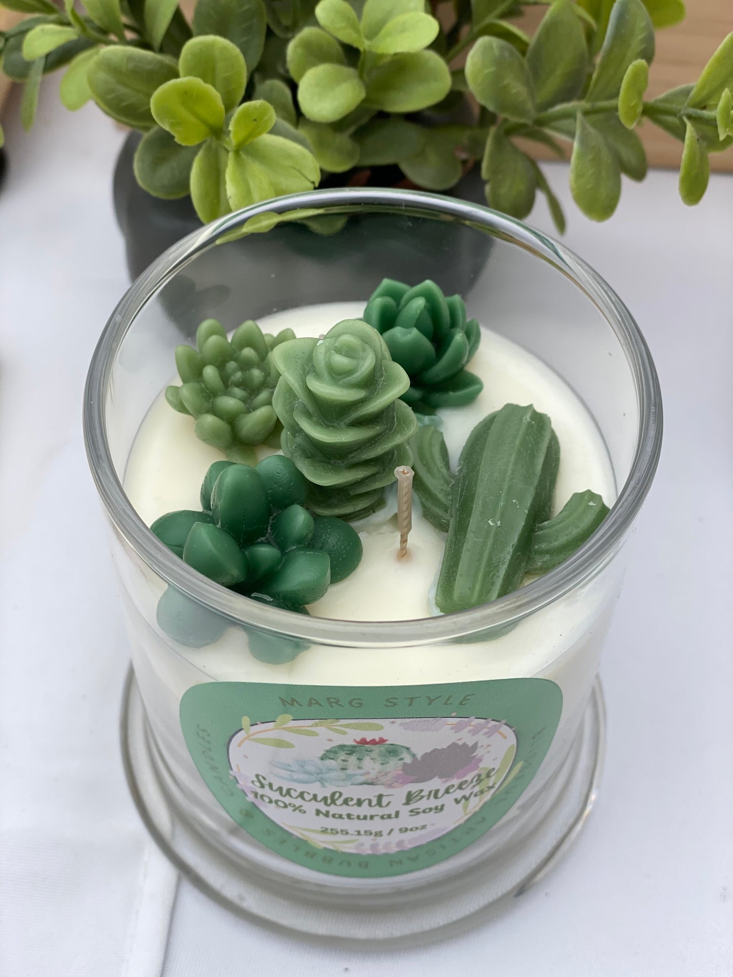 Succulent Breeze with embeds 9oz