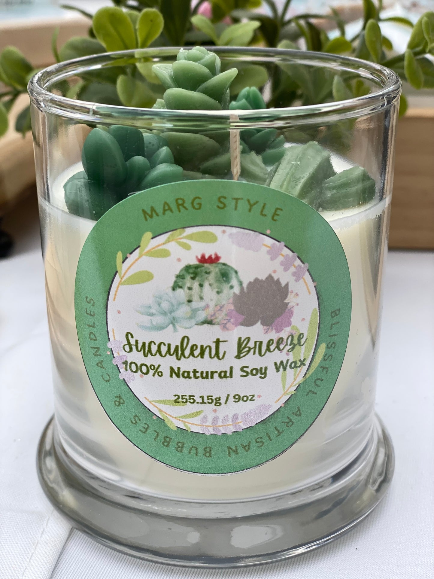 Succulent Breeze with embeds 9oz