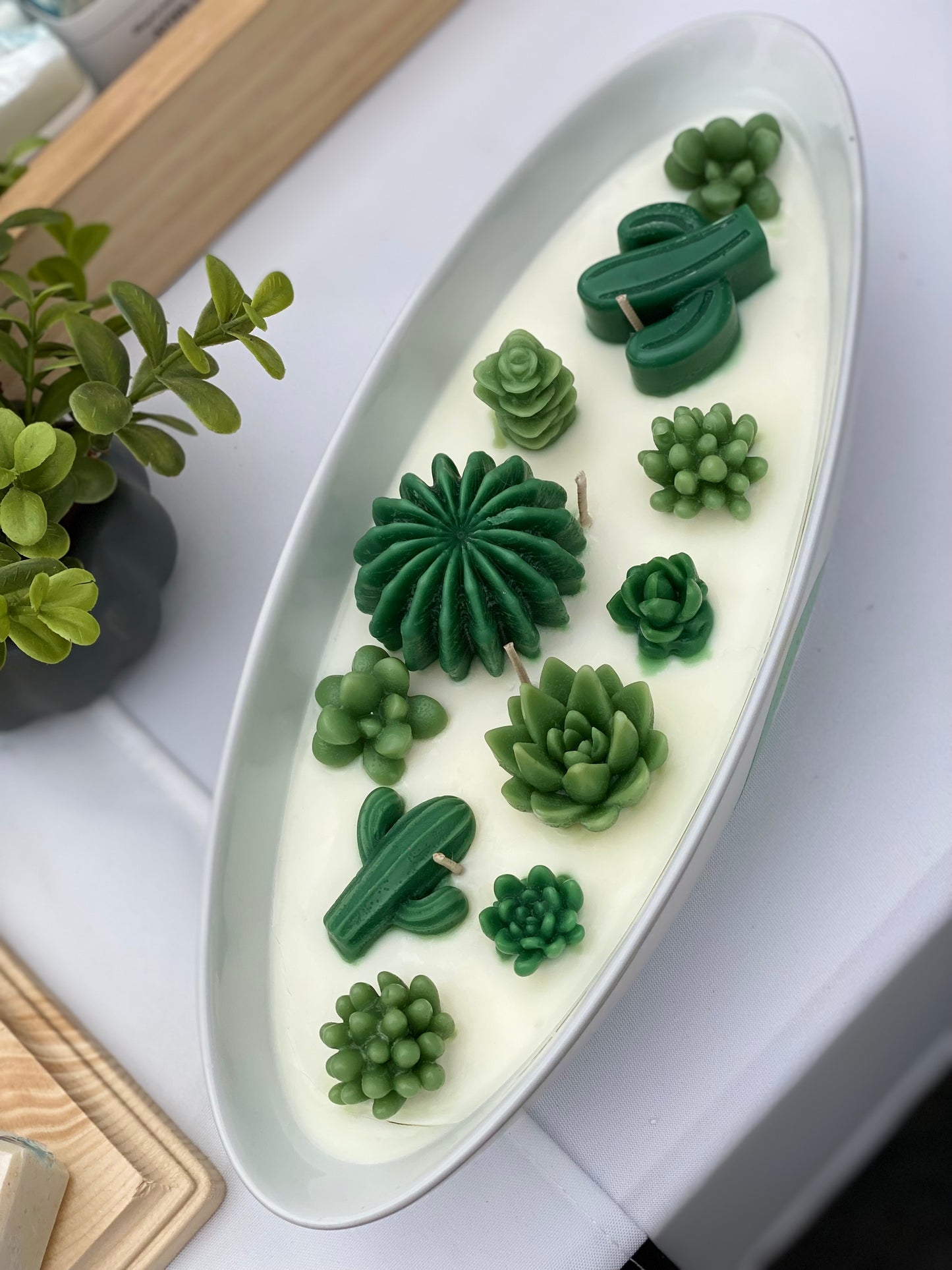 Succulent Ceramic Bowl Candle “Succulent Breeze” 14.11oz/400g