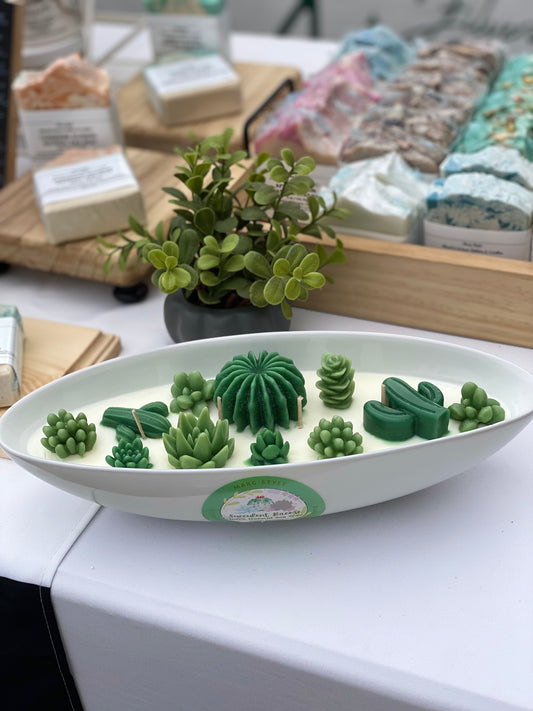 Succulent Ceramic Bowl Candle “Succulent Breeze” 14.11oz/400g